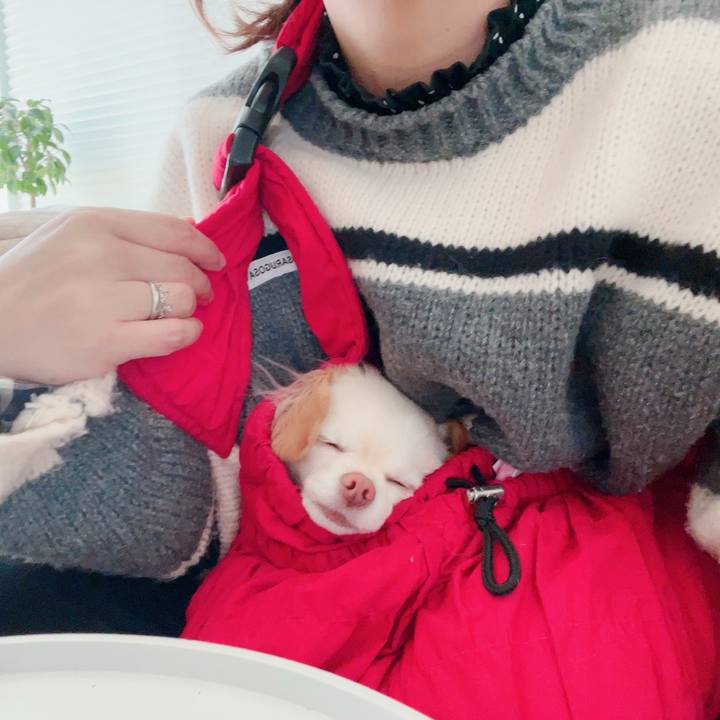 13ceca0e 1813 4d4f b847 28319fa91281 1706846400782