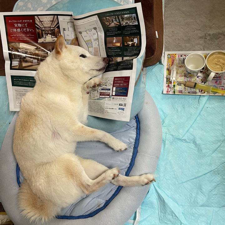 13ced85e 88da 4139 8b51 3cf7523102ce 1655971117517