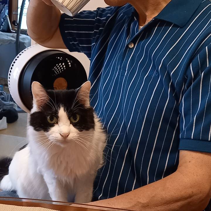 13ceed40 69a3 426c 8523 14c5963c6488 1651481625437