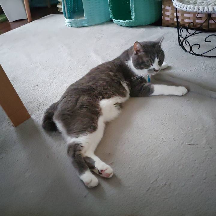 13cf48db b322 4677 b3fc e0f39f6bdd84 1686363275737