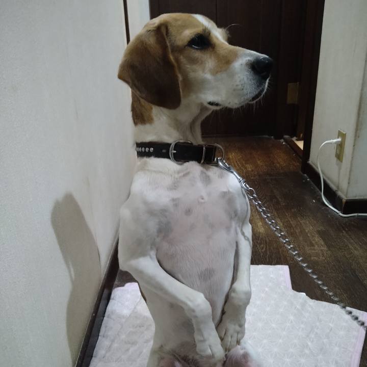 13cf5025 baba 409f 82fe c2644d5d3a21 1633606069351