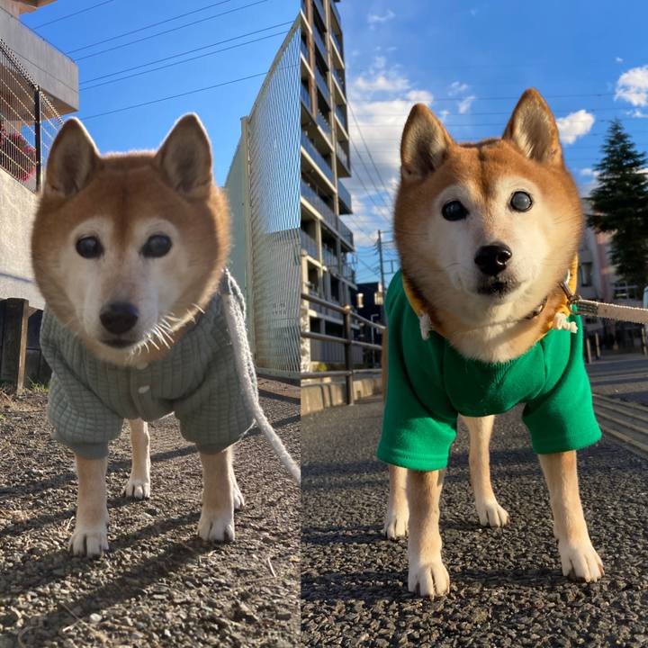 13cf8082 c10a 4d9f 9afd 163b36cc6b5f 1736331849928