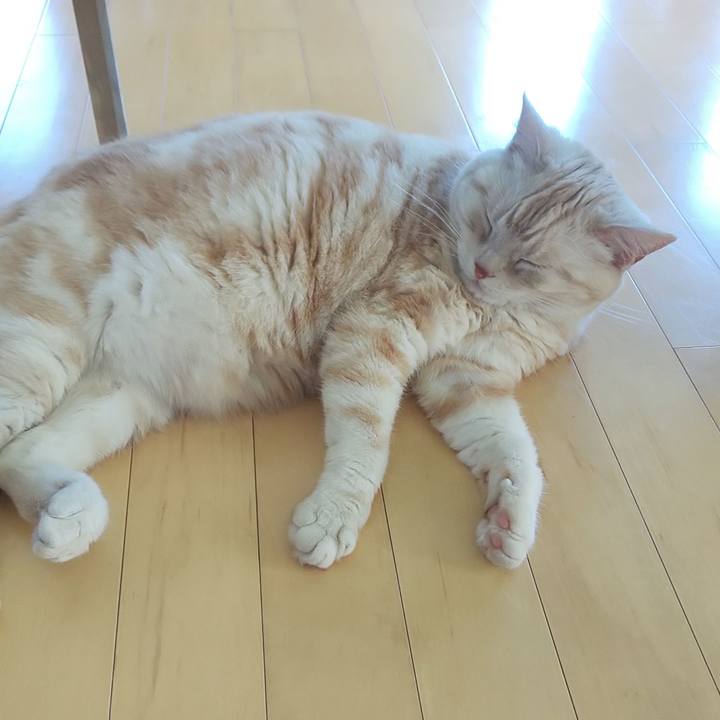 13cf8c70 680d 4663 a5b8 e6529c8c56ee 1558752300170