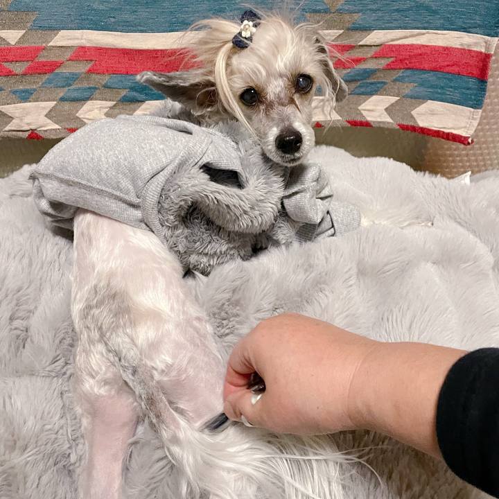 13cfc6aa e389 4f0c b061 0ba44b88f53f 1770104207782