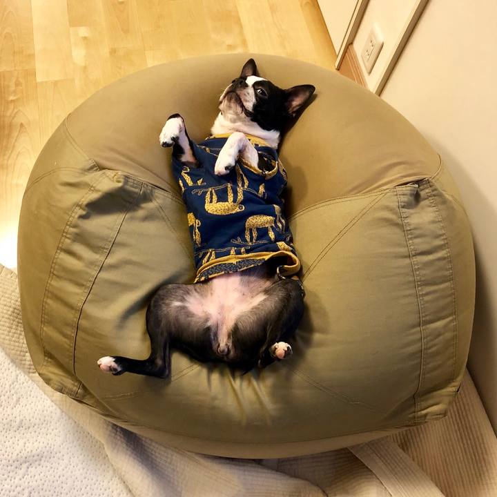 13cfd82b 3fd8 44c2 9421 42a05c2bc86a 1518247188491