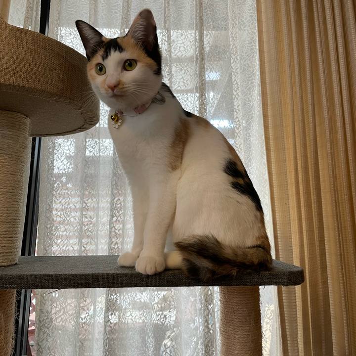 13cff9c7 fc3f 43b3 8ef3 d5f59488a3f7 1670023811487