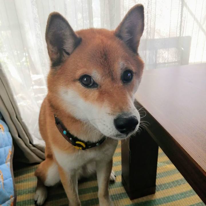 13d01c58 7f0c 4d93 a9f8 0d7d24b9cb32 1599523131682