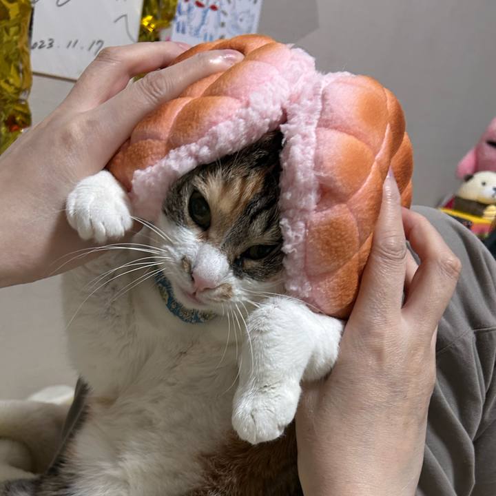 13d07102 c699 4b6a a171 a09faf1e7852 1763414582603