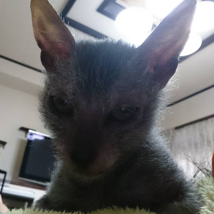 13d0804d bb6d 4122 b570 74d348d2b501 1516512340055