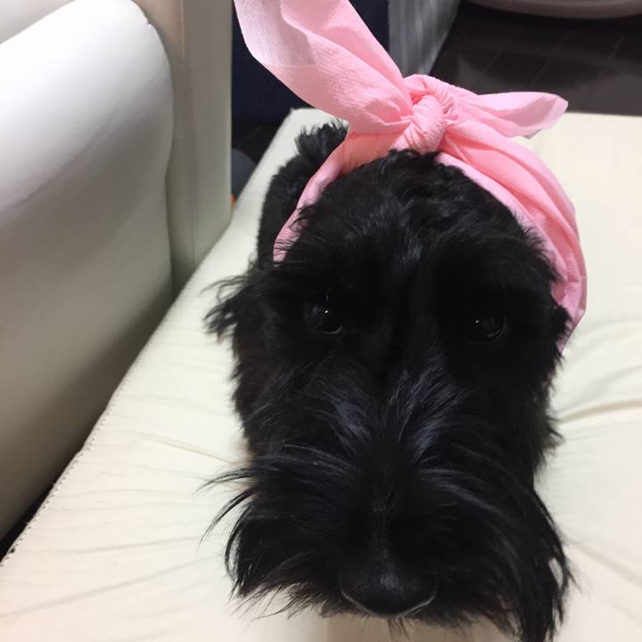 13d08b18 afd1 45dc aca0 c27829fadc25 1509246915467