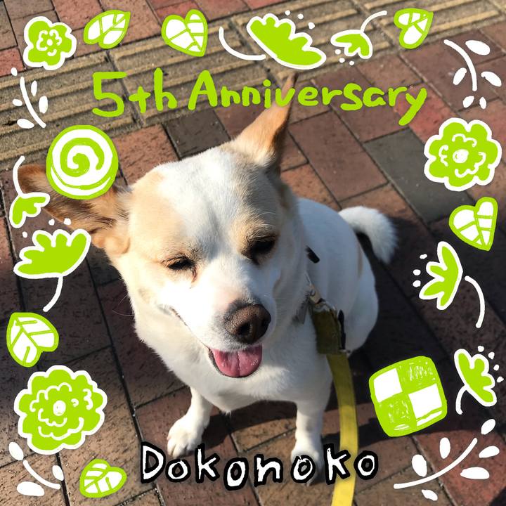 13d0990f c6c9 4224 819c 06358bb25df2 1622976826379