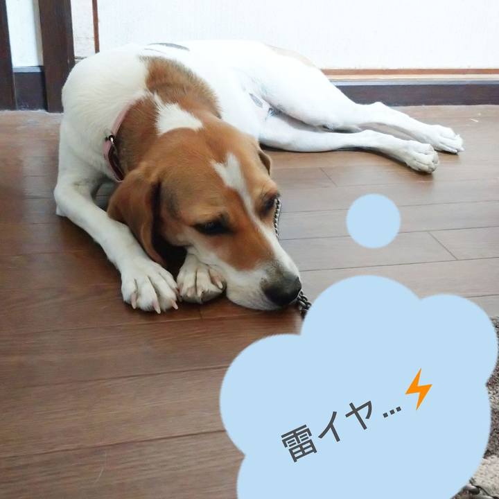 13d09a00 f48e 4f74 b33c 36d19f0523b4 1599300535134