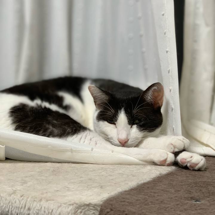 13d0b7cc d6e1 4792 b47f 4361f454960b 1538707786232