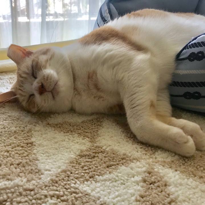 13d1004c a9df 4e2f 9256 01f7d572be54 1552556144811