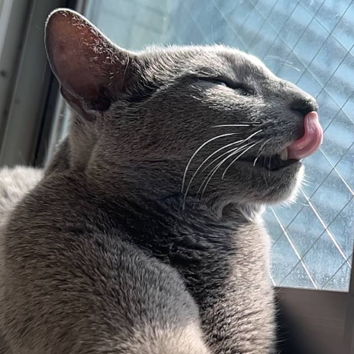 13d12dc4 d579 41d9 be6f 0382dc7be327 1742872523775