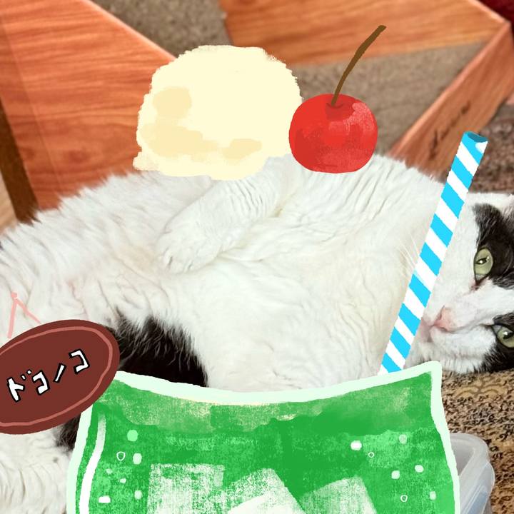 13d13b23 8ffc 4cf8 be92 ad0aa06d4101 1755055502506