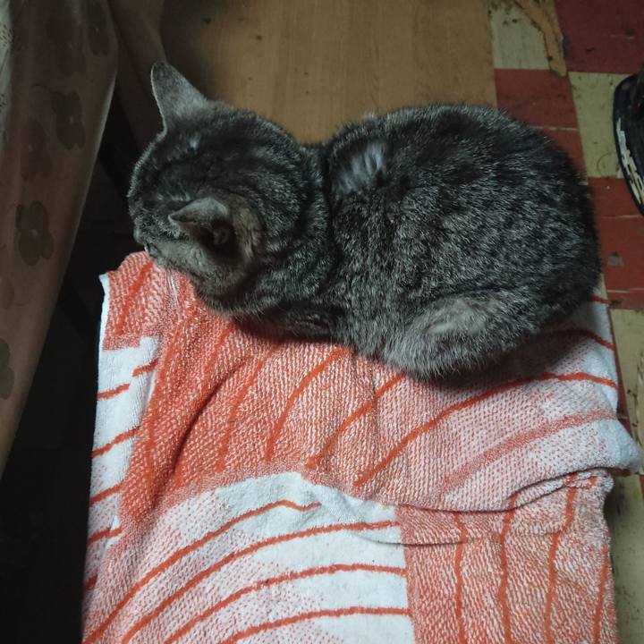 13d14004 9f75 4bf3 be7f 0b9578c921ca 1584043658136