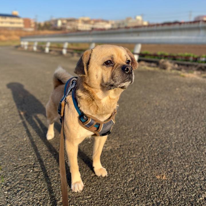 13d151a0 c024 45cd 923d 137dd6f98418 1771802881810