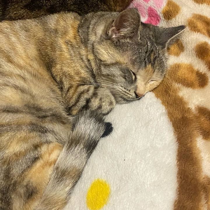 13d17966 b97b 4901 85b3 d5fc63a8063f 1620129956123