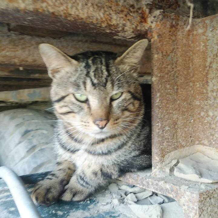 13d1a09a 1d45 4bc6 8a4b b3c0221c537c 1599785866858