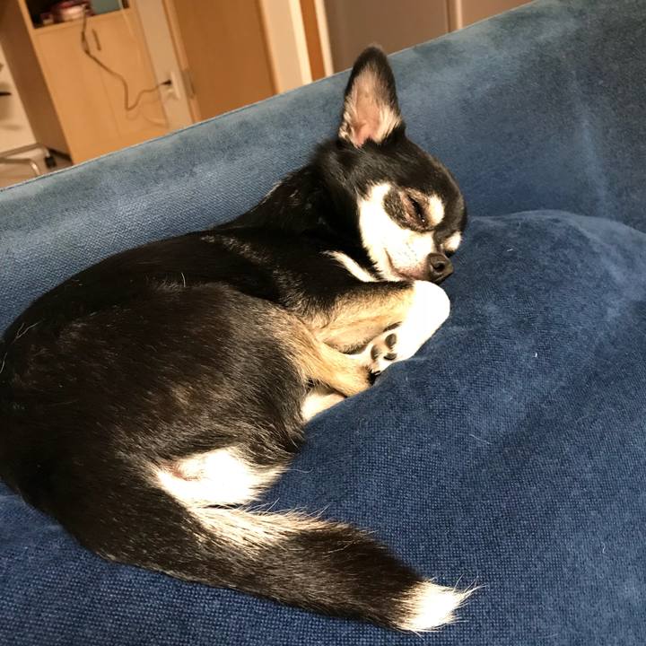 13d1de0a 9461 4059 a668 316d66c6931d 1526728859252