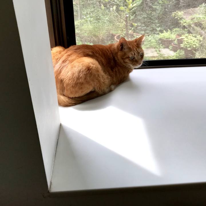 13d1ef68 4883 47a6 9961 c0b20386e2dc 1529636373031