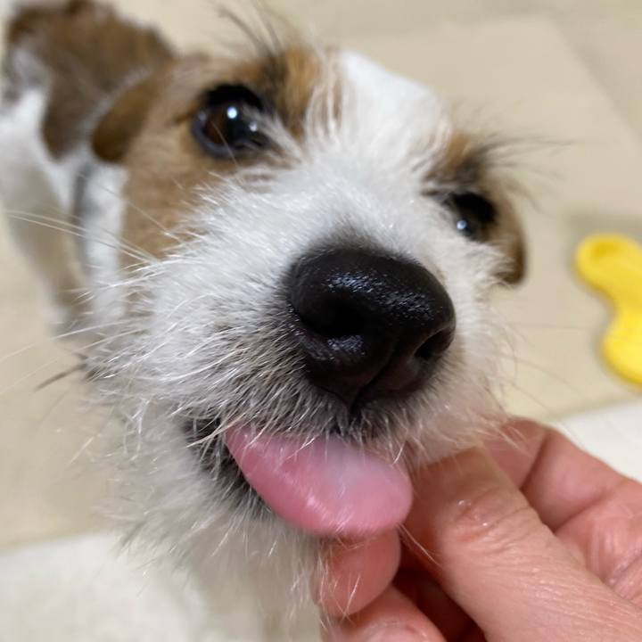 13d20160 fc07 482a a6d8 f6c64605a48a 1741610401221