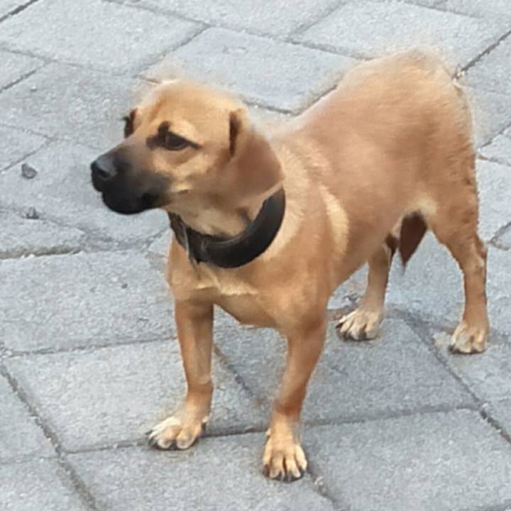 13d207a9 4b23 439d 8121 73879799a229 1509200523738