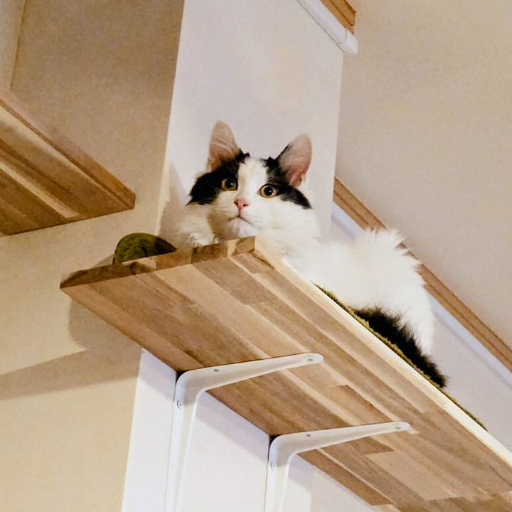 13d210c6 4d84 4b11 8d85 c456bbc15371 1769334588546