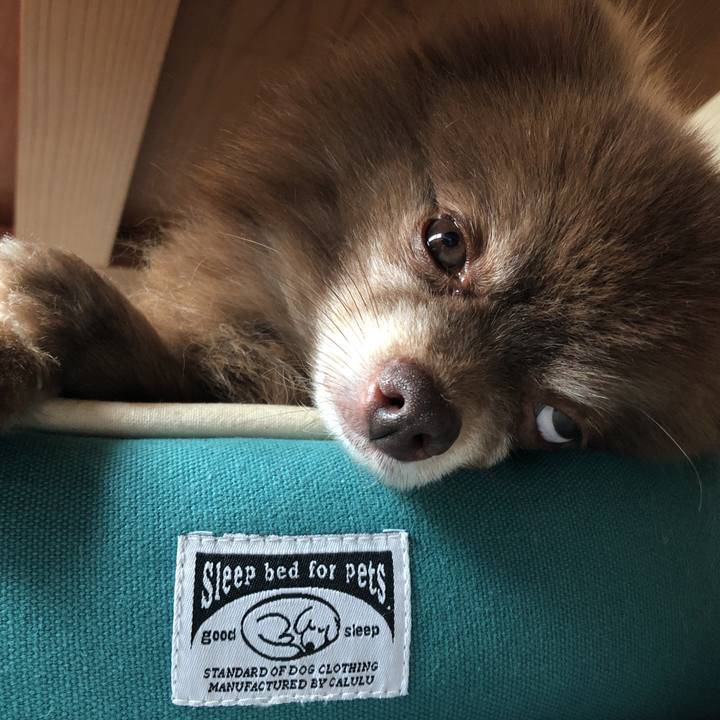 13d21e66 a894 4e1a a6b1 9131fb131275 1536544023945