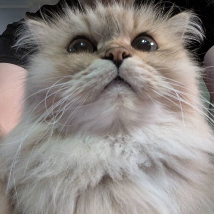 13d21e90 ef02 4c4e a624 b787a4a9131b 1758927754909