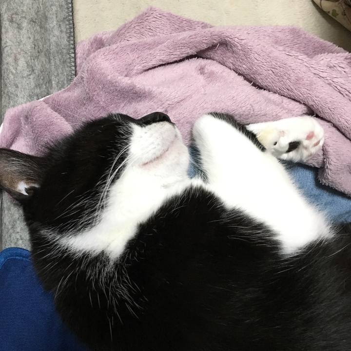 13d22663 fbe9 4e89 b9bc 66c5d69ab8ae 1548254156361