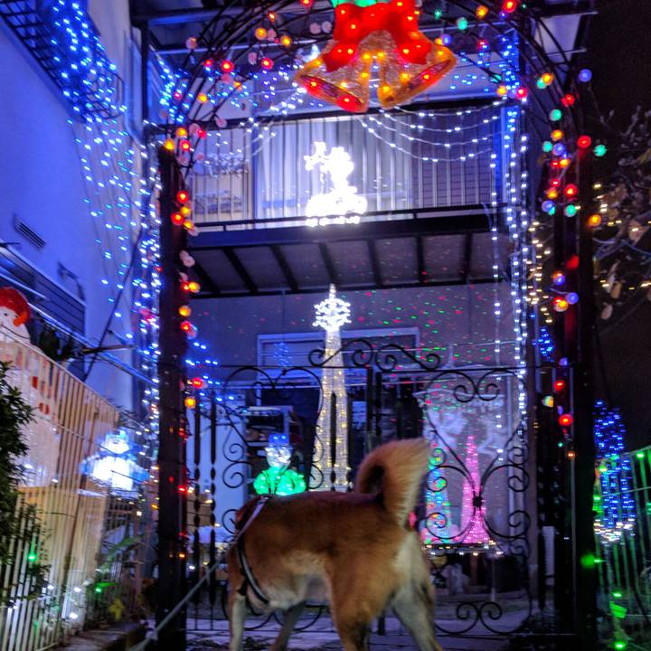 13d22ccb 7b69 45da bbb3 c0e9fe4814f9 1544699526925