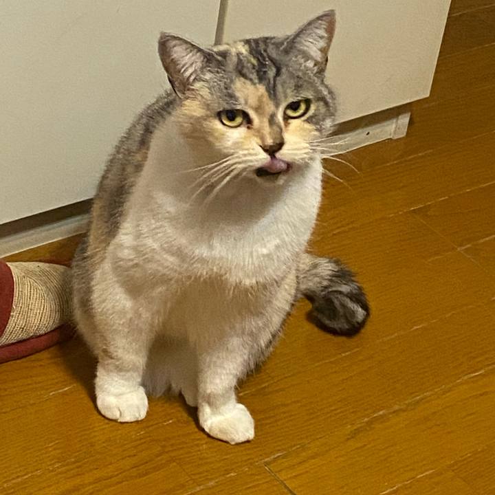 13d234b1 99b6 4557 821e 1a305af3a548 1608311232117