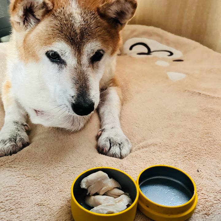 13d23e34 b05d 47cb ac94 525ada9e63f8 1758340252319