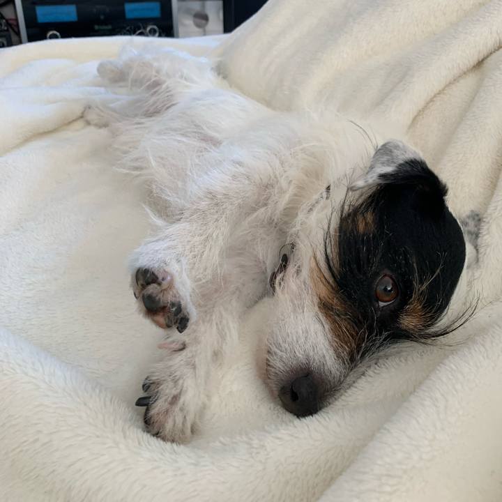 13d26ab8 7ee7 4485 899c 0768323cd33d 1648885935596