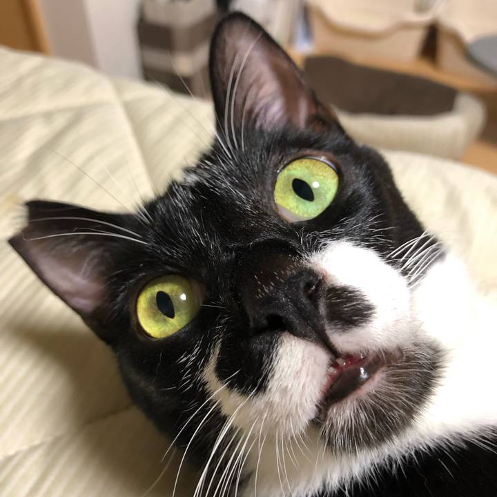 13d26d0f d455 46b8 9057 a0d028f299ad 1567495492897