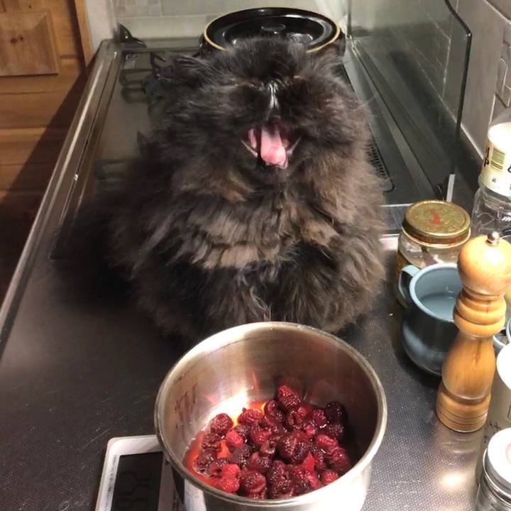 13d2879c ff16 4b9e 9221 39cd841a775b 1561980782938