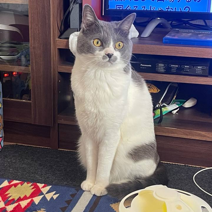 13d29b6f 92c6 450f b937 706338a46fc1 1644968286635