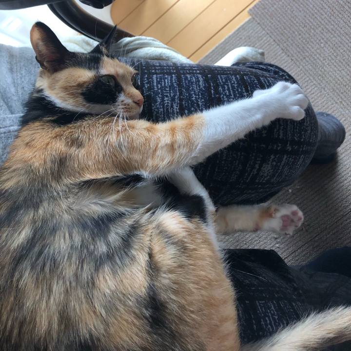 13d2b985 e4ce 4497 902c d598bcc0c35e 1551252256117