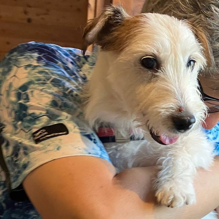 13d2faf8 5027 4976 8b6b d7061f22a12d 1759210980771