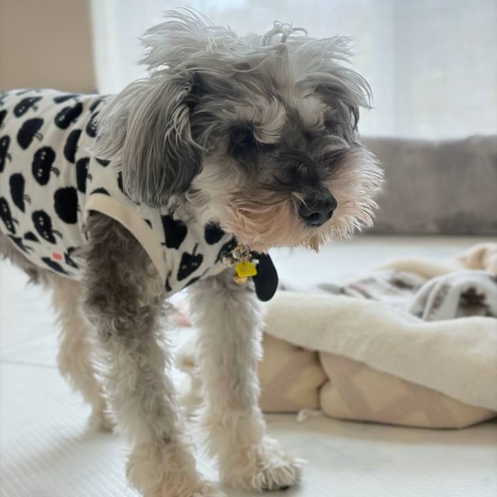 13d31f2f 5f32 4209 9985 4d4a3fec00d8 1774247276958