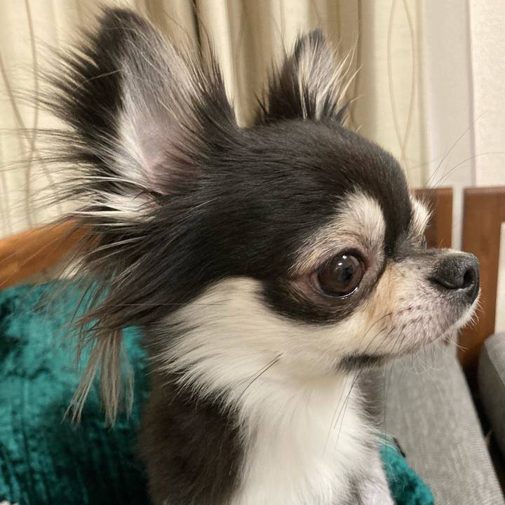 13d326cd a313 41d8 b045 a048b2f637bf 1639842379382