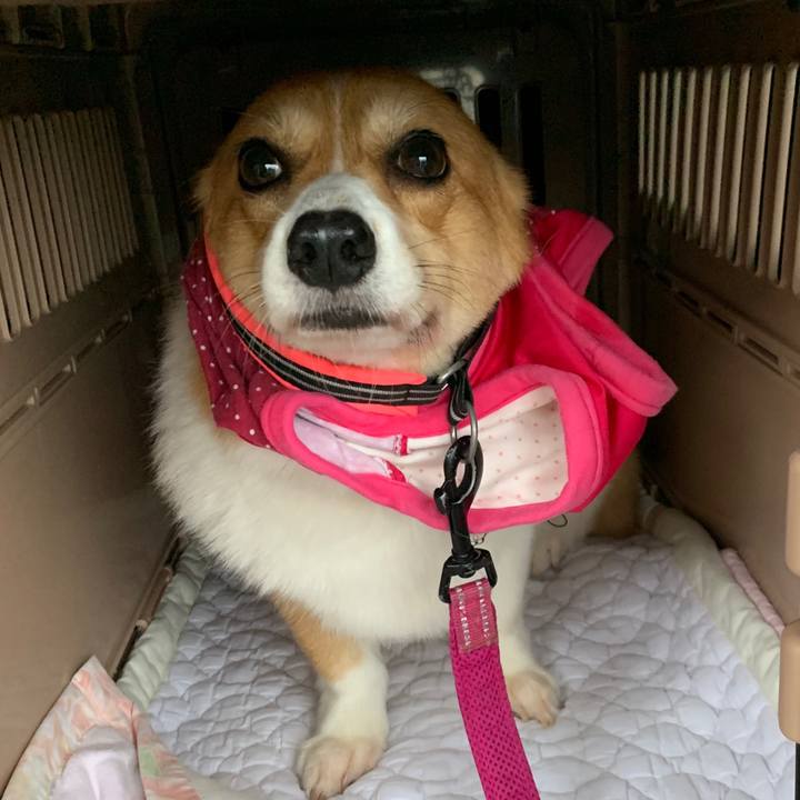 13d35530 00a5 48dc a8bb 9717d09aac26 1563270390658