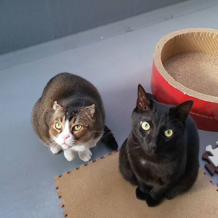 13d365a4 7783 4075 8f52 1ec7fa48be6b 1640766217740