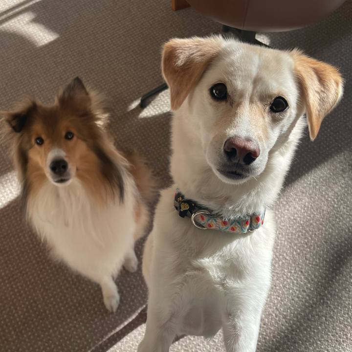 13d38a17 fe23 4c23 ba95 ff9040e1fb46 1672584849823