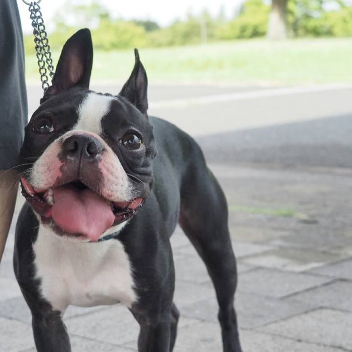 13d39051 fb48 463b a254 2995735dce86 1535874536283