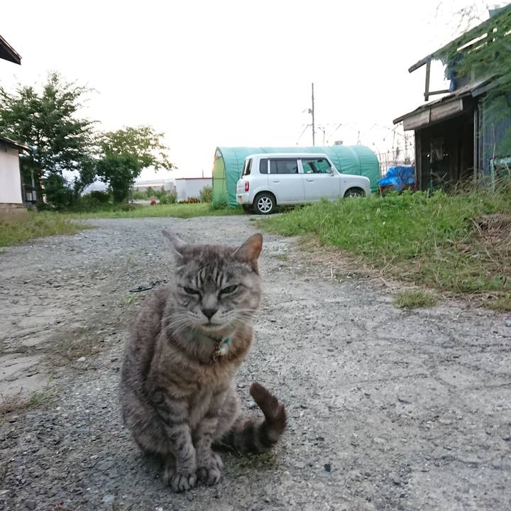 13d39821 1649 4ad2 aac3 df82e4d4f52b 1568839832675