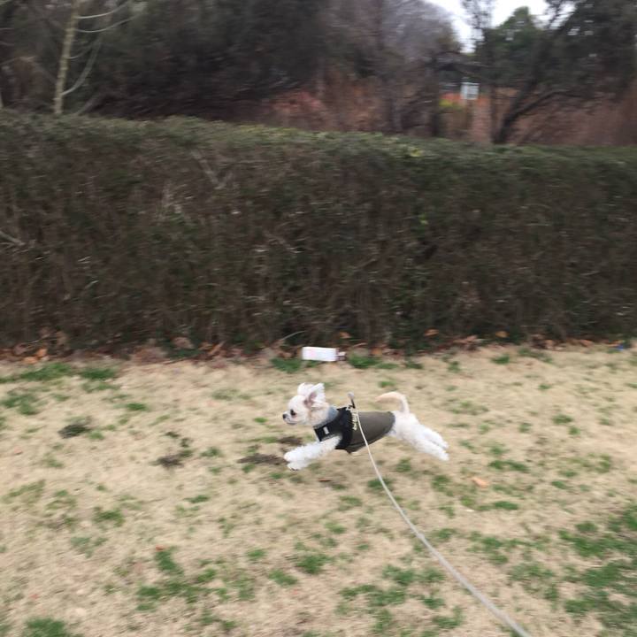 13d3aabc d100 42be a065 ddfd558bb0be 1521187195587