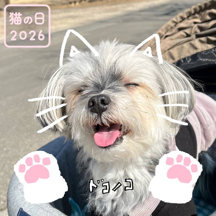 13d3cf9b 4013 4671 a658 1d0b98d8e425 1771713264217